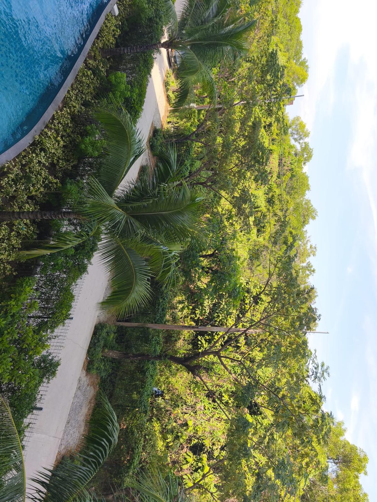 Изображение 2 объекта